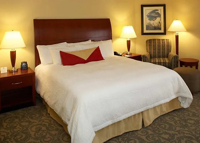 Hotel Hilton Garden Champaign/ Urbana