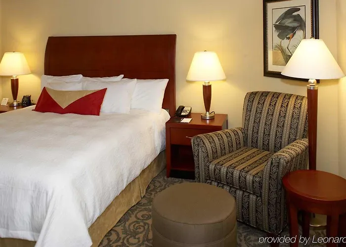 Hilton Garden Champaign/ Urbana 3* Champaign